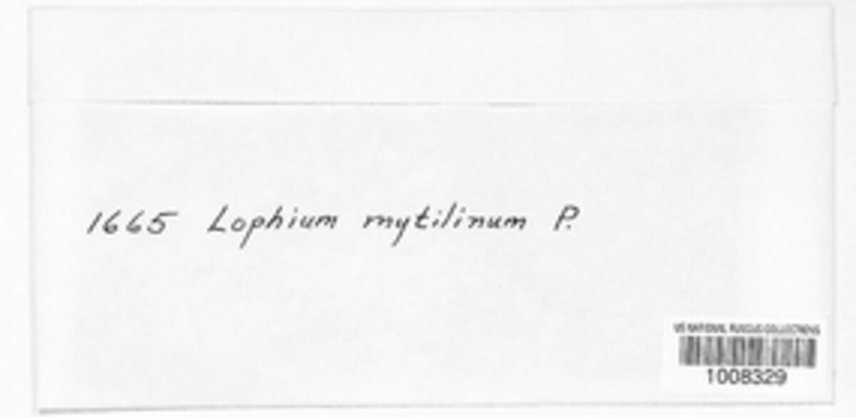 Lophium mytilinum image